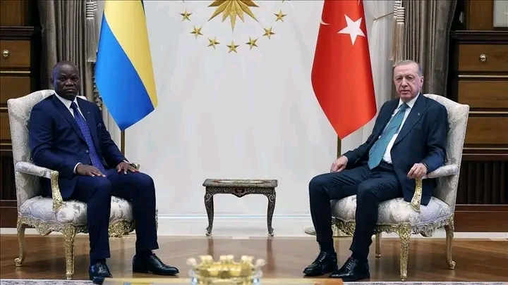 La Turquie et le Gabon renforcent leur coopération dans les secteurs de l’énergie et des mines