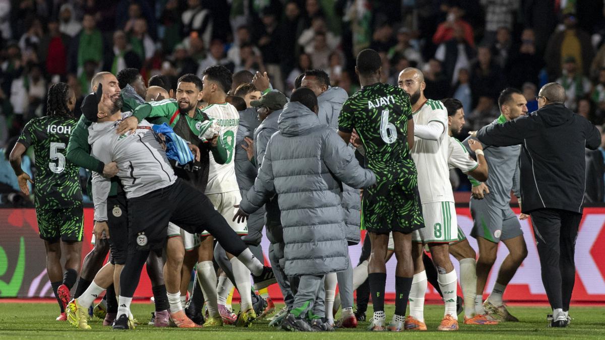 CAN 2025 : la CAF enquête sur les incidents des matchs Algérie–Nigeria et Cameroun–Maroc