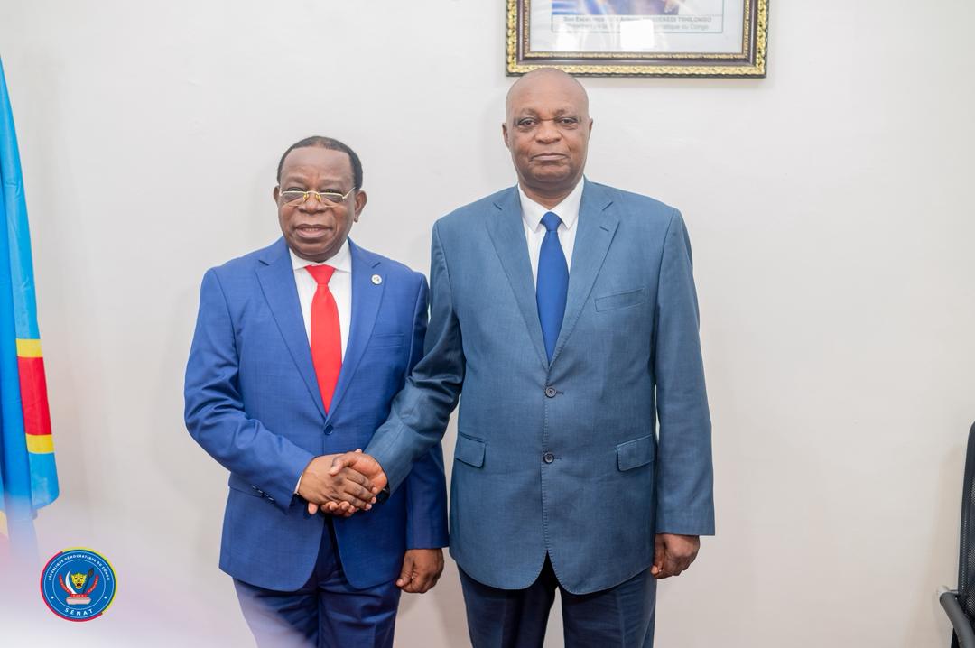 RDC-Sénat : Norbert Basengezi entre officiellement en fonction comme 2e vice-président