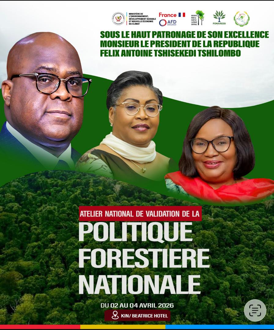RDC : vers une Politique Forestière Nationale consolidée