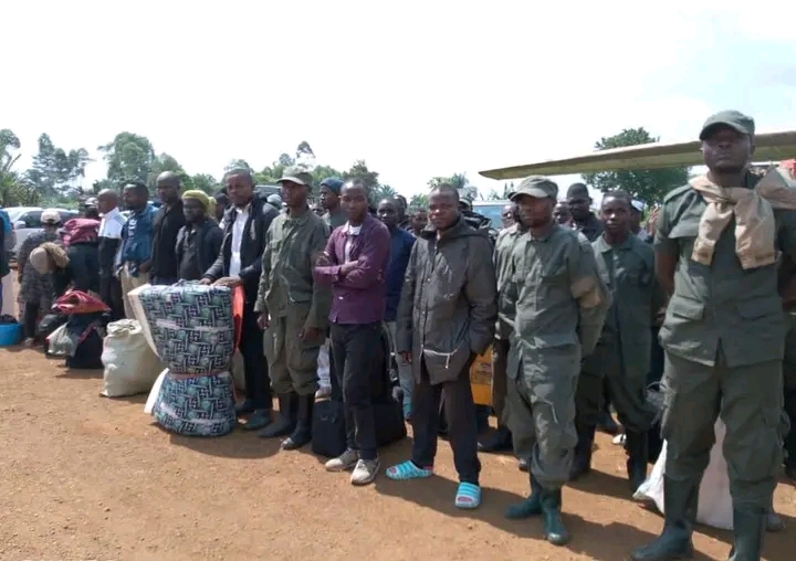 RDC : 204 combattants du M23 se rendent aux FARDC